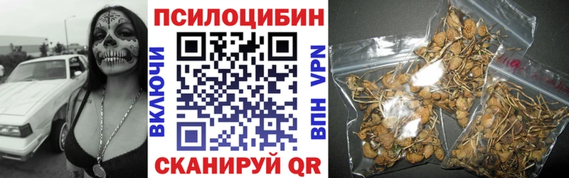 Галлюциногенные грибы MAGIC MUSHROOMS  Купить где  Соль-Илецк 